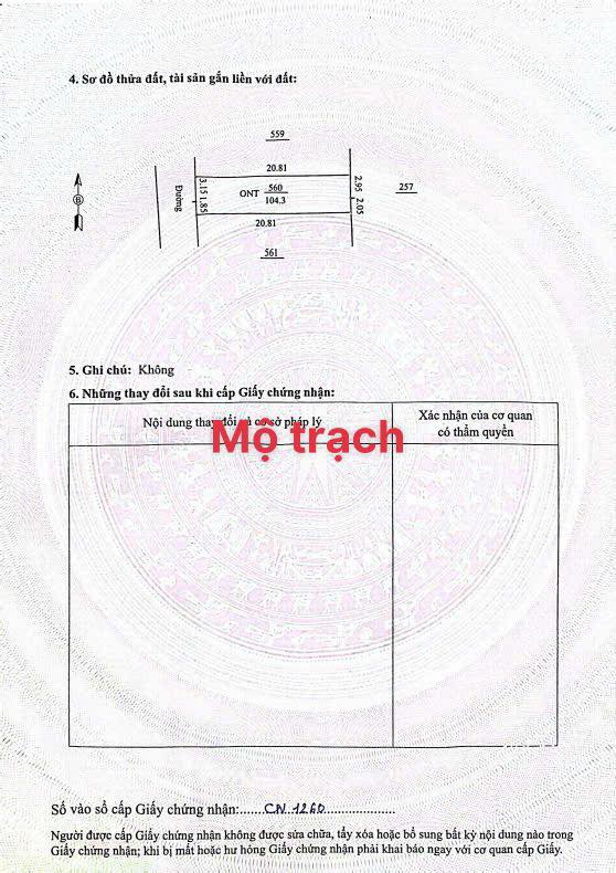 Đất nền Tân Hồng, Bình Giang 104m² giá 1.4 tỷ - Đường ô tô tránh nhau