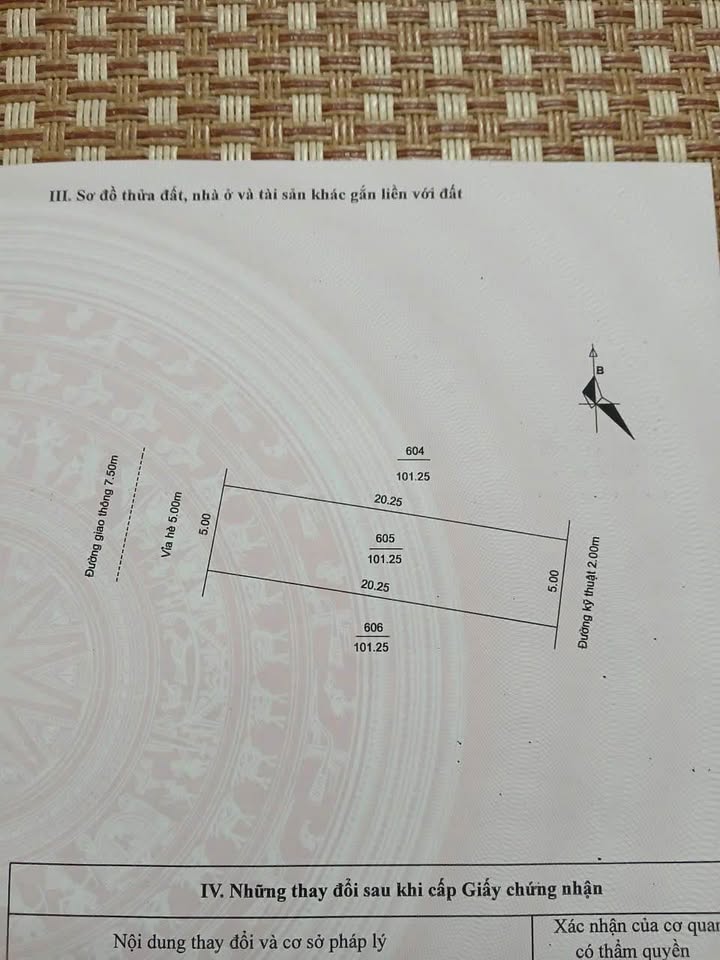 Đất nền khu đô thị Trần Hưng Đạo 101m² - Kinh doanh sinh lời ngay!