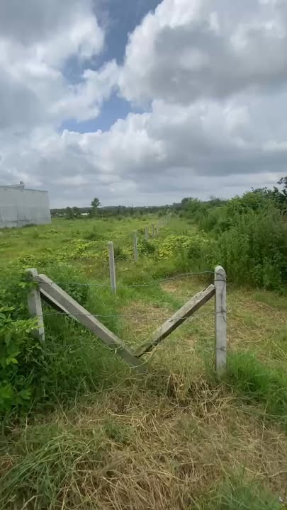 Đất mặt tiền Ấp Phước Đông, Gò Dầu 294m² giá 750 triệu - Cơ hội đầu tư hấp dẫn!