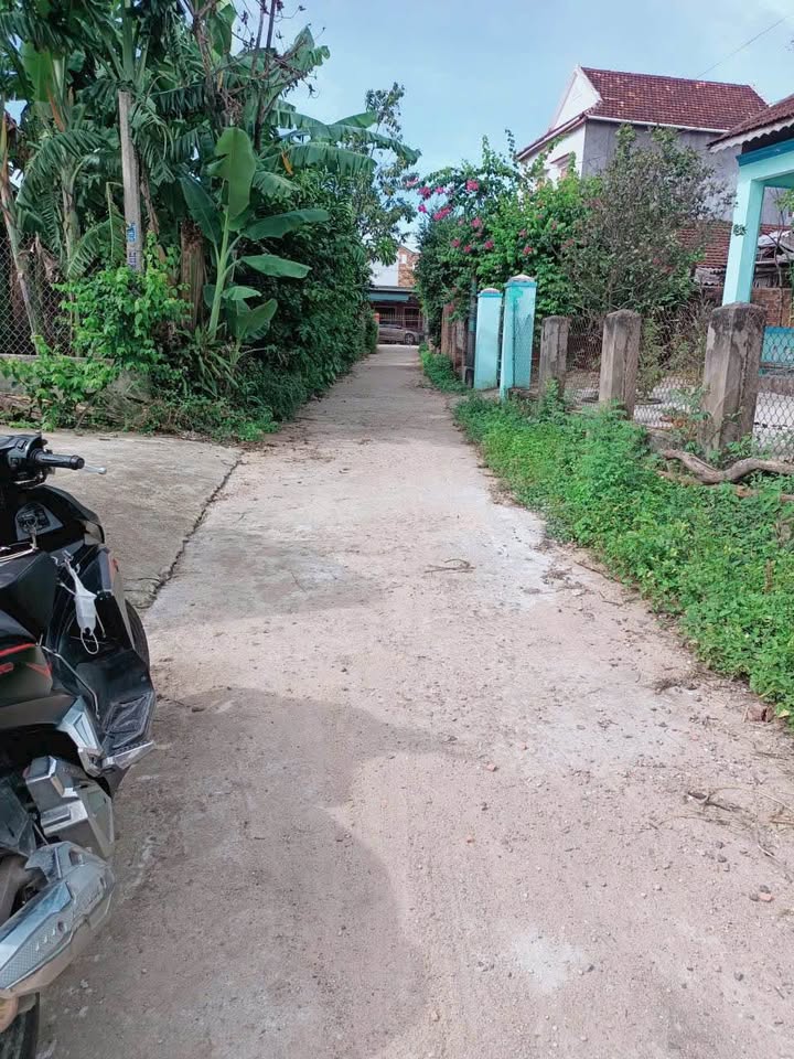 Đất nền Nhơn Lộc An Nhơn 100m² giá 300 triệu - Sổ hồng chính chủ, ô tô vào tận nơi!