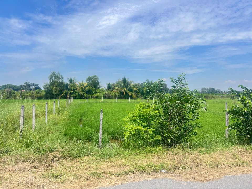 Đất nền Thủ Đức 525m² giá 2.7 tỷ - Đầu tư sinh lời ngay!