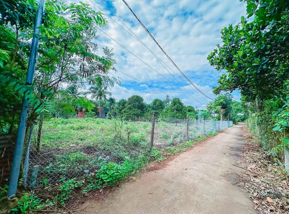 Đất nền Bảo Vinh, Long Khánh 162m² giá chỉ 880 triệu - Cơ hội không thể bỏ lỡ!