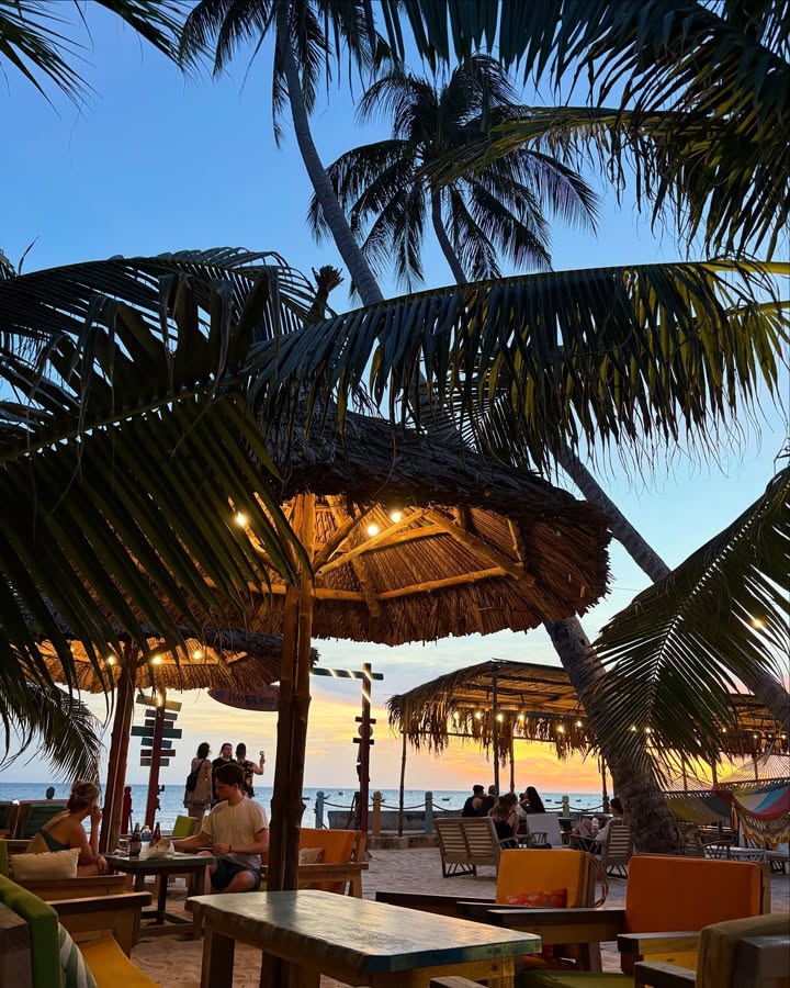 Cho thuê Beach Bar tại Mũi Né 2000m² - Cơ hội đầu tư hấp dẫn!