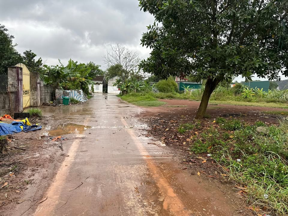 Đất nền Gia Viễn Ninh Bình 102m² giá 1 tỷ - Hướng Nam, cơ hội đầu tư tốt!