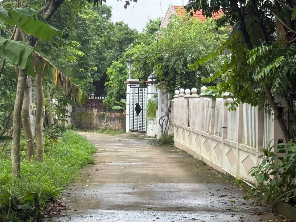 Đất thổ cư 200m² tại Núc Thượng, Tam Đảo - Giá chỉ 2 tỷ, cơ hội đầu tư tuyệt vời!