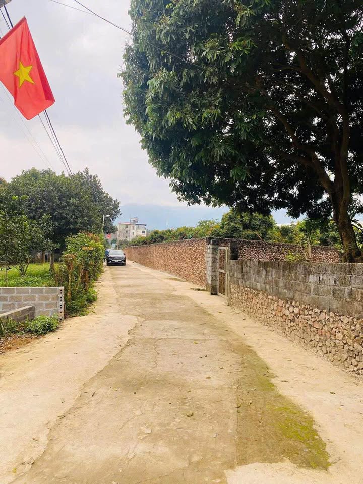 Đất nền Kim Đức Vĩnh Tiến 739m² giá 1 tỷ - Cơ hội đầu tư tuyệt vời!