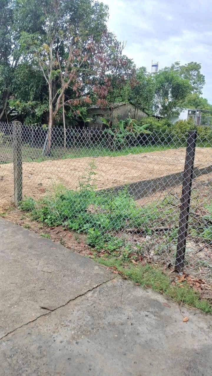 Đất ở khu phố Tứ Ngân, Điện Ngọc 100m² giá 1.95 tỷ - Đầu tư sinh lời lý tưởng!