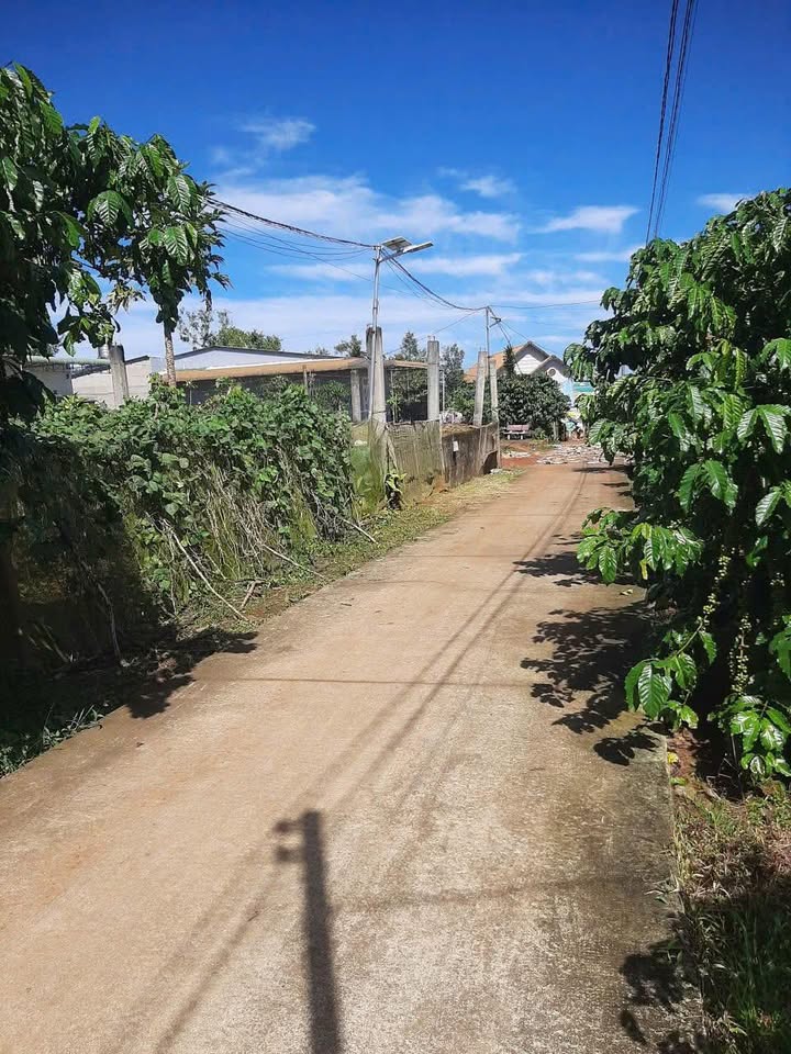 Đất nền hẻm bê tông Phường 1, Bảo Lộc 330m² giá 1.6 tỷ - Đầu tư sinh lời ngay!