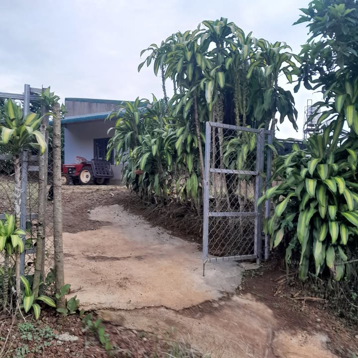 Đất nền Lộc Ngãi Bảo Lâm 6000m² giá 1.2 tỷ - Sổ đỏ chính chủ, bớt lộc