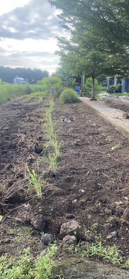 Đất nền Tân Phú, Đồng Xoài 1898m² giá chỉ 500 triệu - Cơ hội đầu tư tuyệt vời!