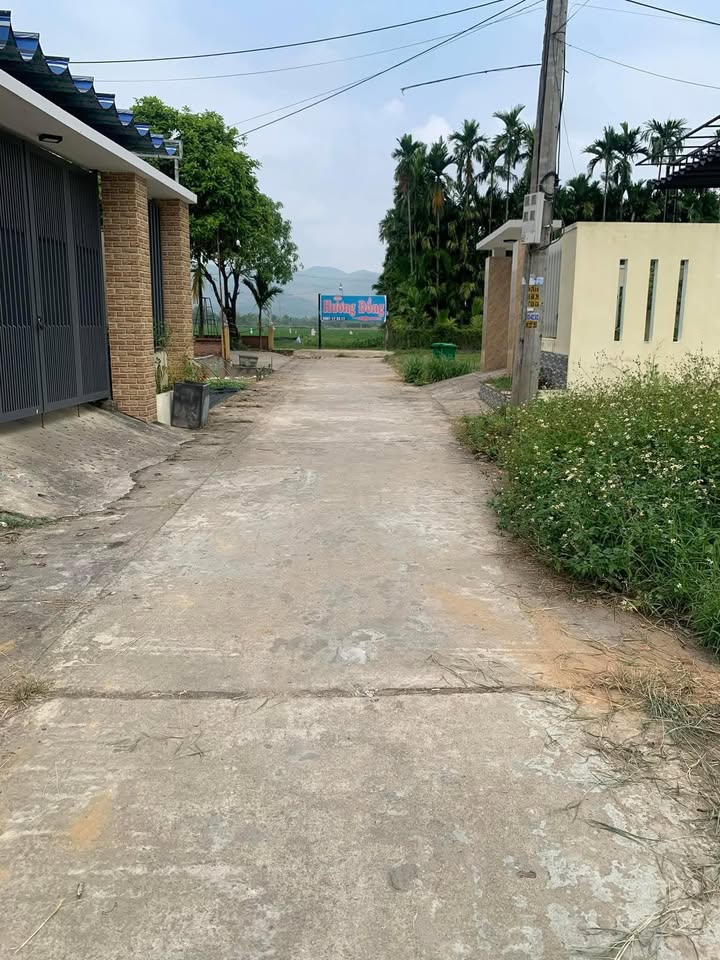 Đất ở xã Nghĩa Trung, Đại Lộc 174m² giá 900 triệu - Cơ hội đầu tư hấp dẫn!