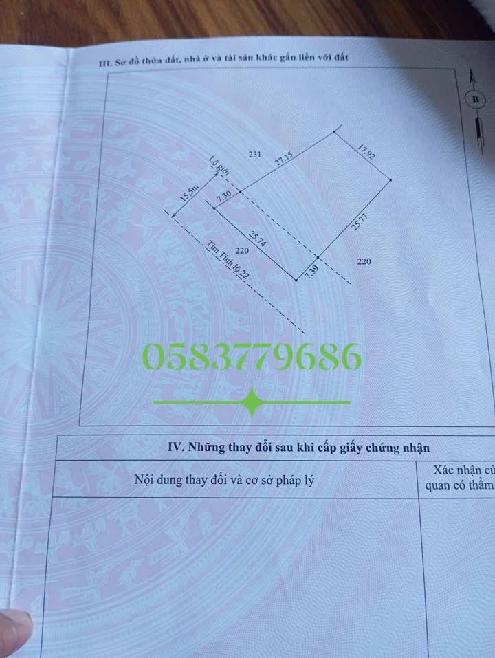 Đất nền Phong Điền Huế 730m² giá 100 triệu - Sổ hồng chính chủ, gần biển!