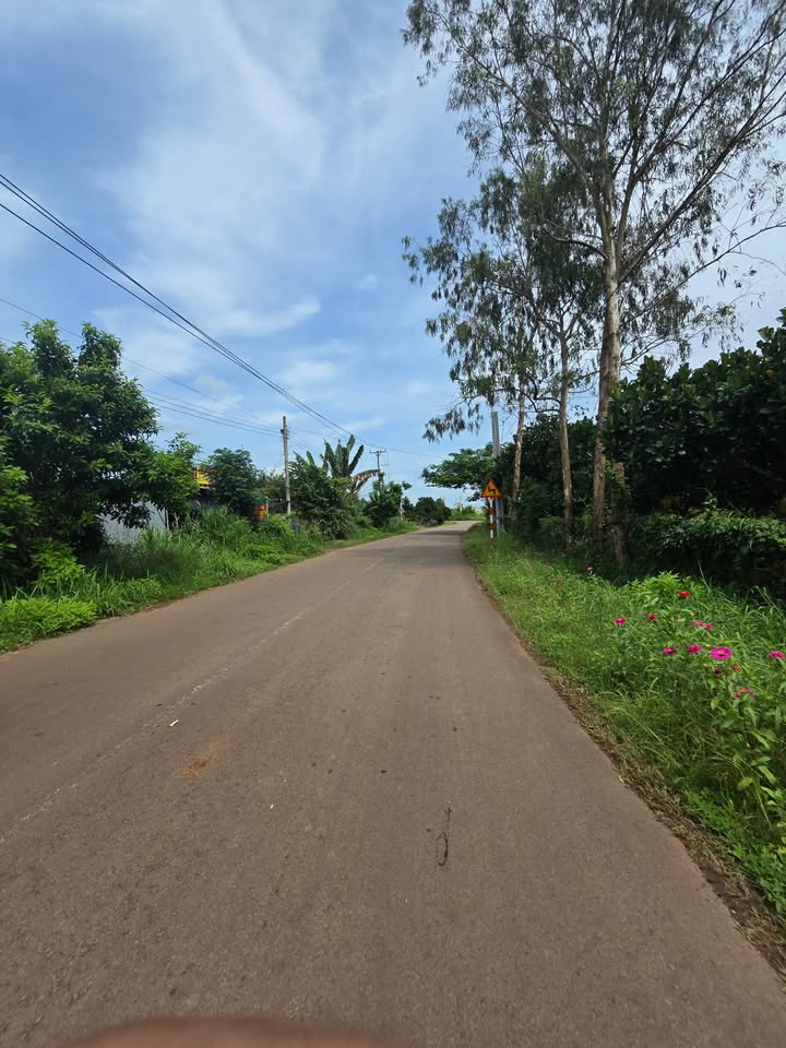 Đất thổ cư 300m² mặt tiền đường Xuân Bắc, Xuân Lộc, Đồng Nai giá 1,3 tỷ - Cơ hội đầu tư hấp dẫn!