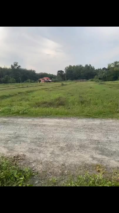 Đất thổ cư 492m² Khu phố Gia Lâm Trảng Bàng - Giá 450 triệu - Đầu tư sinh lời cao!