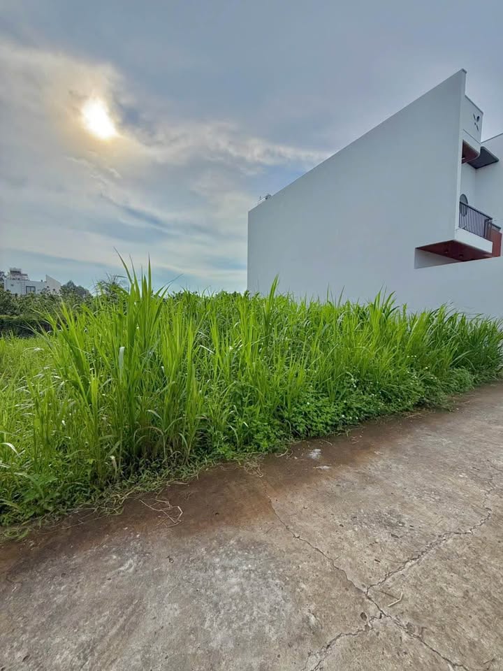 Đất nền Tân Mỹ Chánh 75m² giá chỉ 500 triệu - Cơ hội vàng đầu tư!