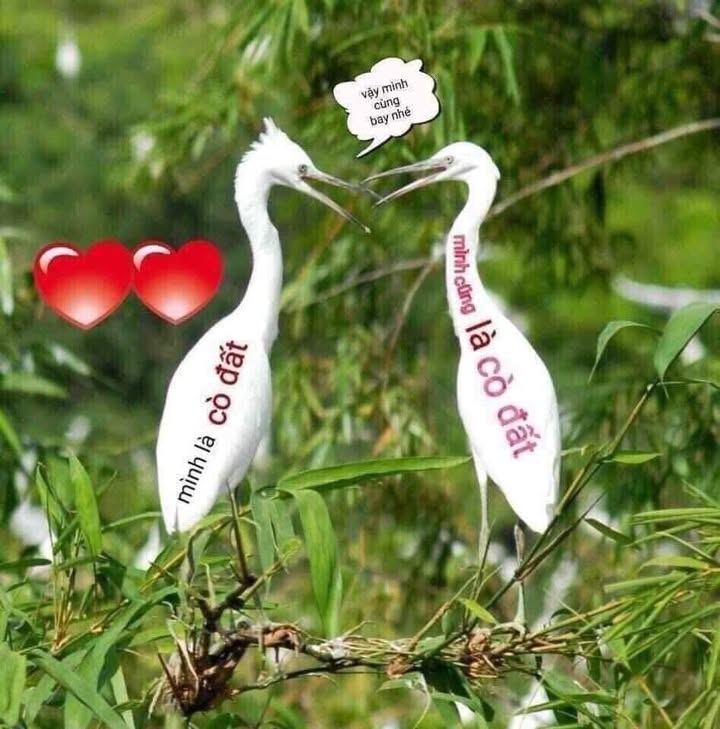 Đất Hòa Hải Ngũ Hành Sơn 200m² giá 4 tỷ - Hướng Đông, phù hợp xây dựng nhà ở!