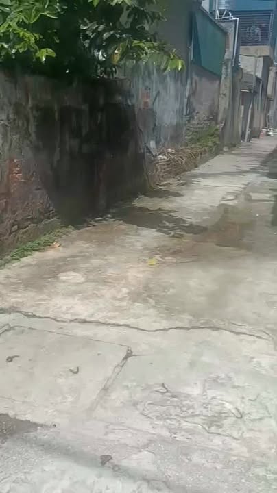 Đất nền đường Trần Quang Khải, Sầm Sơn 88m² giá chỉ 1.1 tỷ - Cơ hội đầu tư tuyệt vời!