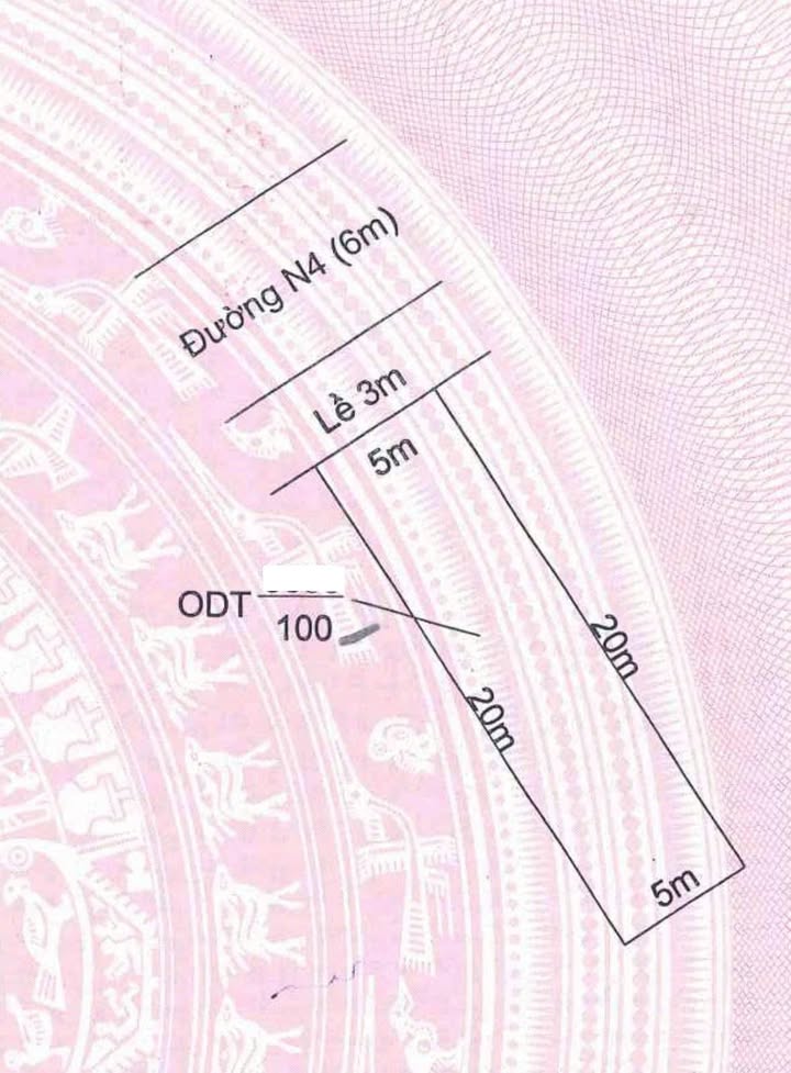 Đất nền Thủ Thừa 100m² giá 1.5 tỷ - Tiềm năng tăng giá cao!