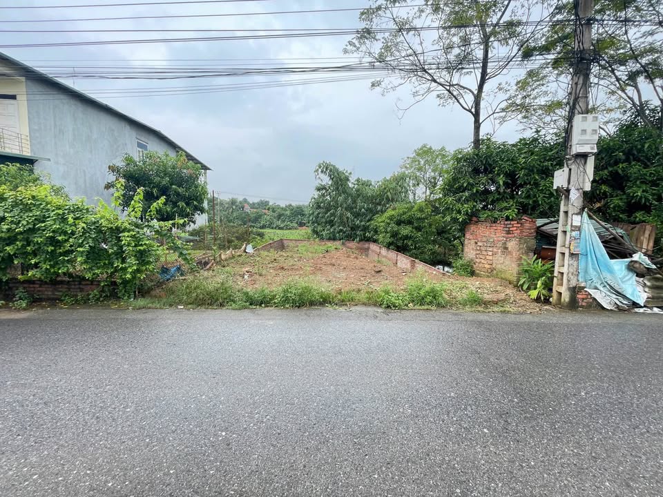 Đất thổ cư xã Thụy Vân 85m² giá 1.72 tỷ - Đường thông tứ phía, gần trường học!
