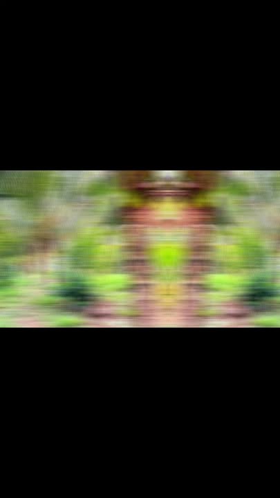 Farm Đất Đỏ, Bà Rịa - Vũng Tàu 2900m² giá chỉ 2.65 tỷ - Cơ hội đầu tư tuyệt vời!