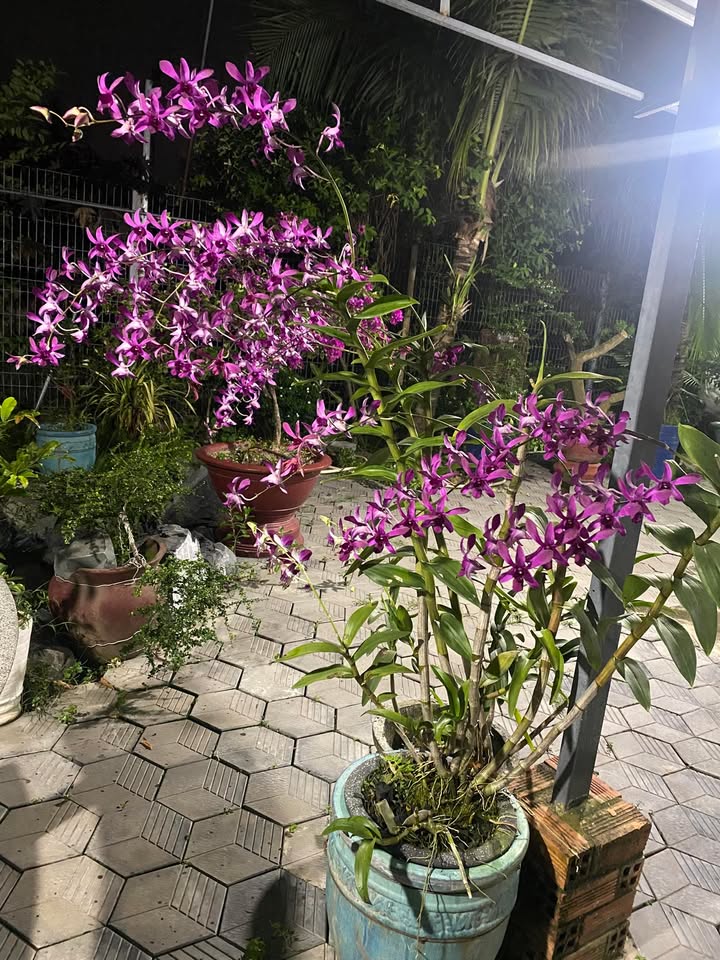 Đất thổ cư KP4 Hội Nghĩa, Tân Uyên 210m² giá 2 tỷ - Cơ hội đầu tư tốt!