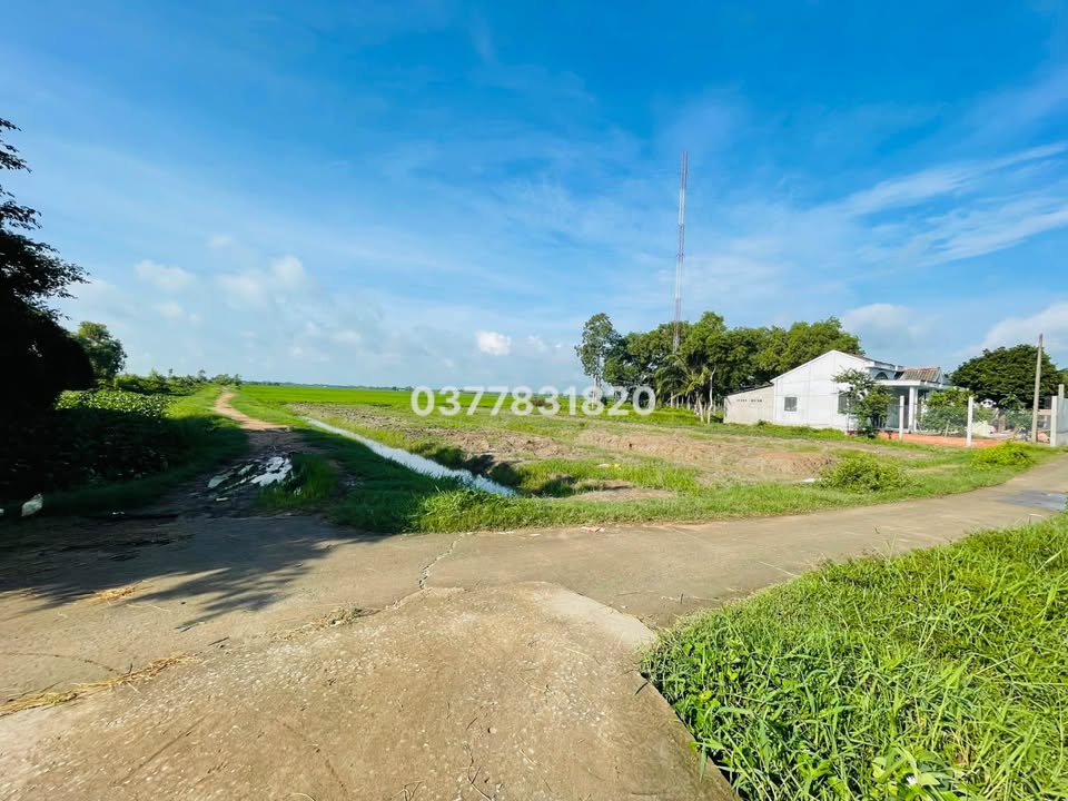 Đất 2 mặt tiền Trà Vinh 1821m² giá 1.3 tỷ - Cơ hội đầu tư hấp dẫn!