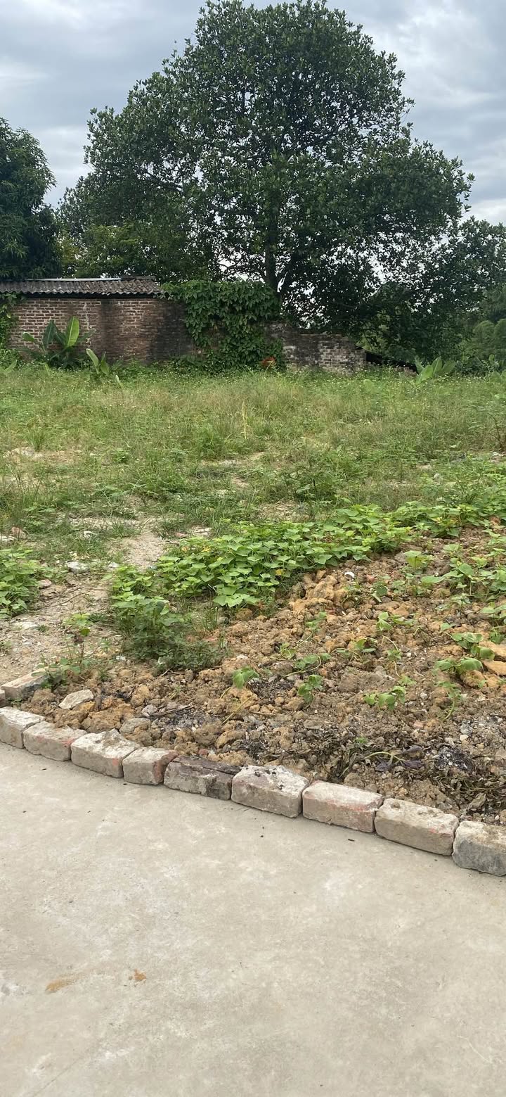 Đất nền phường Trung Thành, Sông Công 200m² giá 3.95 tỷ - Đảm bảo không ngập lụt!