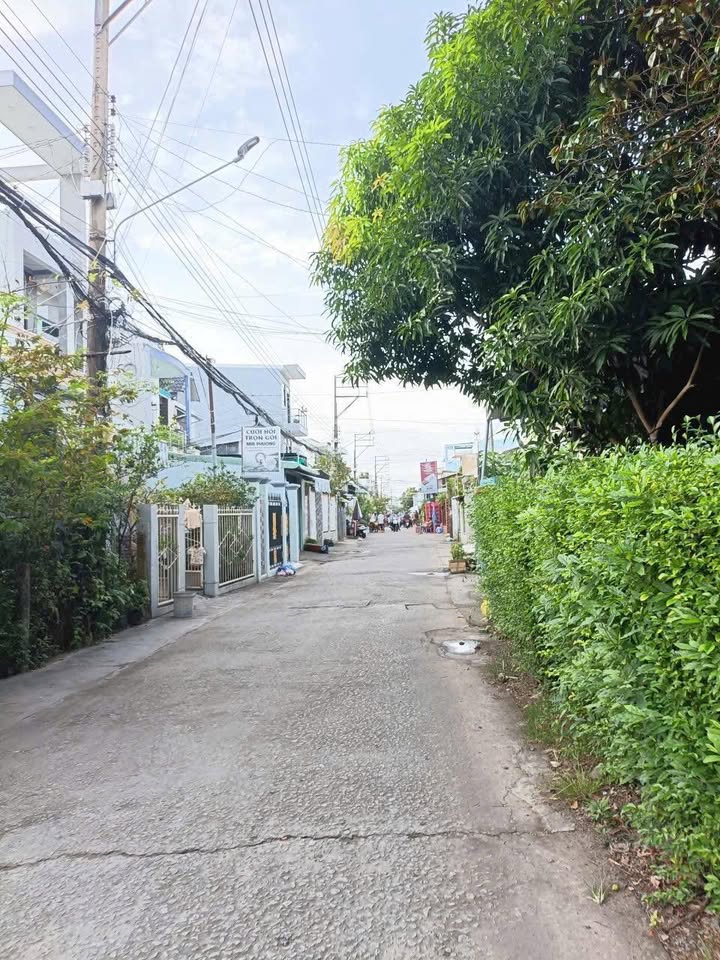 Đất nền 35m² Bình Khánh giá chỉ 450 triệu - Cơ hội đầu tư tốt!