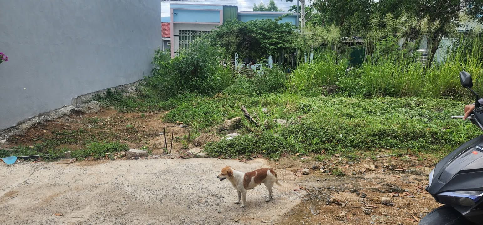 Đất nền Phước Đồng Nha Trang 217m² giá 1.93 tỷ - Cơ hội đầu tư hiếm có!