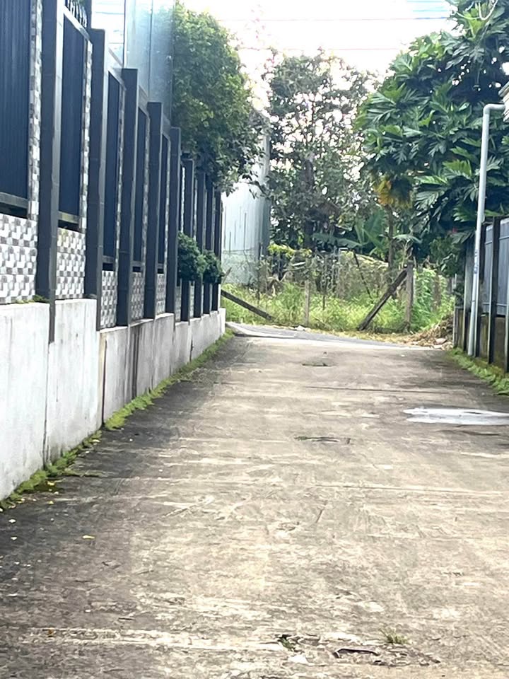 Đất nền Đà Lạt, hẻm 104/15 Nguyễn Bỉnh Khiêm 102m² - Giá 2.1 tỷ, thương lượng ngay!