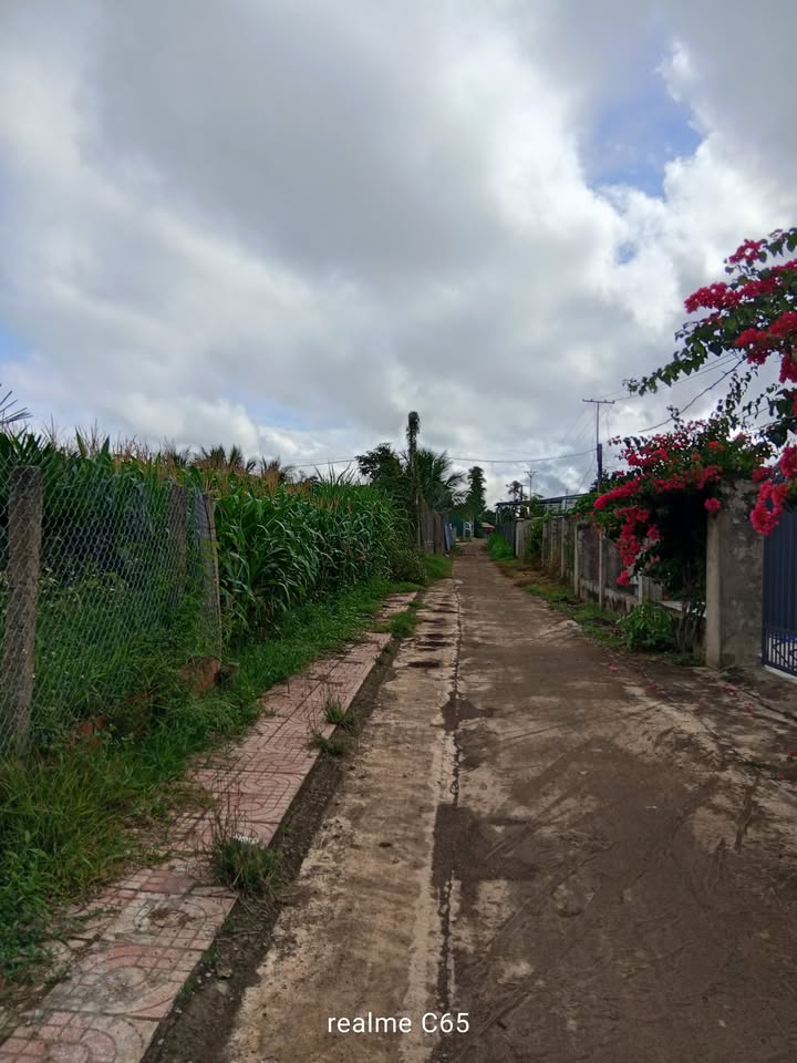 Đất thổ cư xã Ea Phê, huyện Krông Pắc, 288m² giá chỉ 800 triệu - Đầu tư sinh lời tốt!