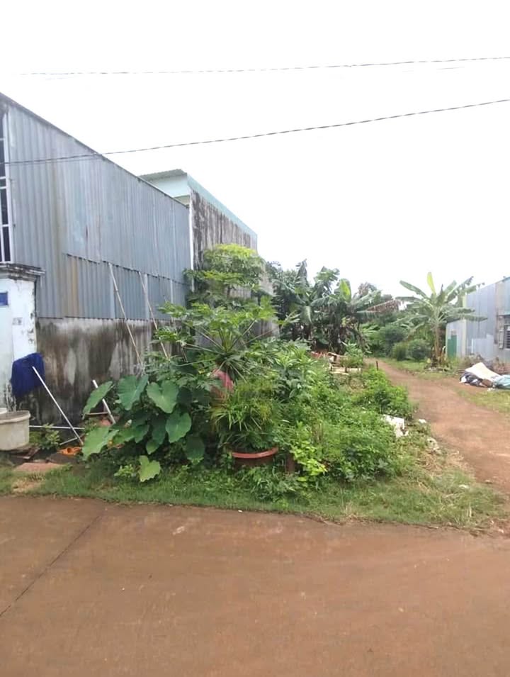 Đất Hẻm 92 Nguyễn Xuân Nguyên, Tân An, 125m² giá 2.05 tỷ - Góc 2 mặt tiền thoáng mát!