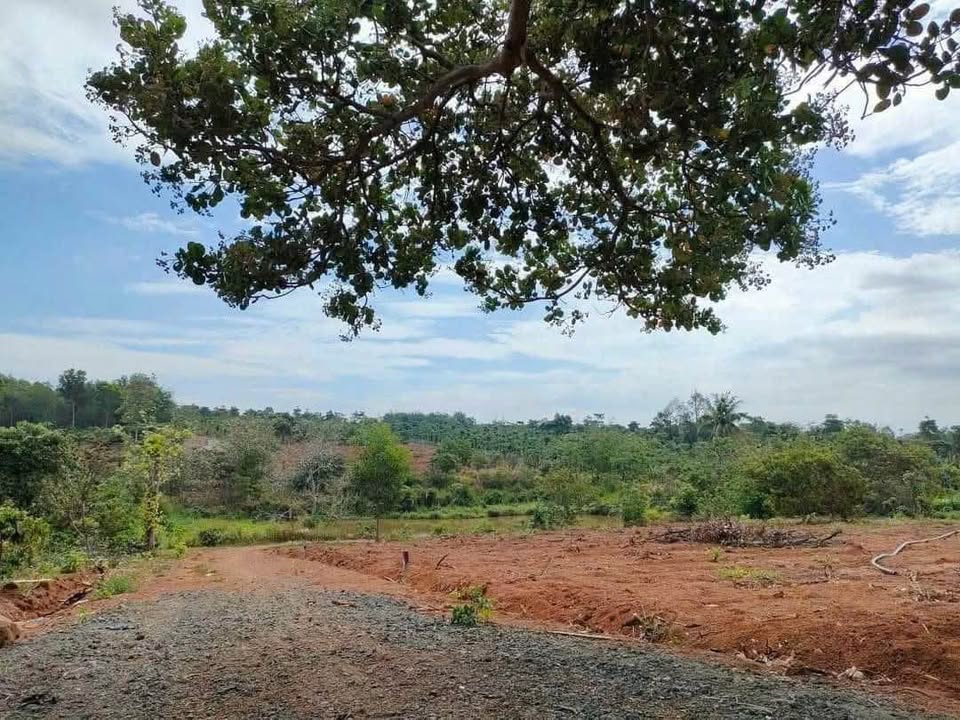 Đất nền Phường Khánh Xuân 500m² giá chỉ 345 triệu - Cơ hội đầu tư hiếm có!