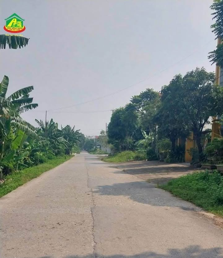 Đất phố Bình Khang, Ninh Khánh 78m² giá 3.8 tỷ - Sổ đỏ chính chủ, hướng Tây!