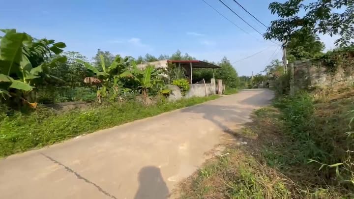 Lô đất Farm 3200m² tại Minh Hoà - Phú Thọ giá chỉ 1 tỷ - Đầu tư sinh lời ngay!