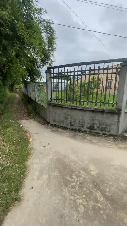 Đất nền xã An Đức, huyện Ba Tri 461m² giá 1.39 tỷ - Cơ hội đầu tư tuyệt vời!