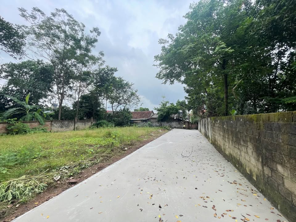 Đất nền chính chủ Khu 14, Thanh Miếu, Việt Trì 63.6m² - Vị trí trung tâm, giá chỉ 1 tỷ!