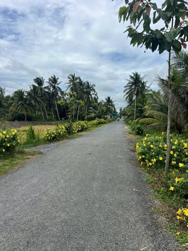 Đất nền thổ cư Tân Long Hội 134m² giá 320 triệu - Đầu tư sinh lời ngay!