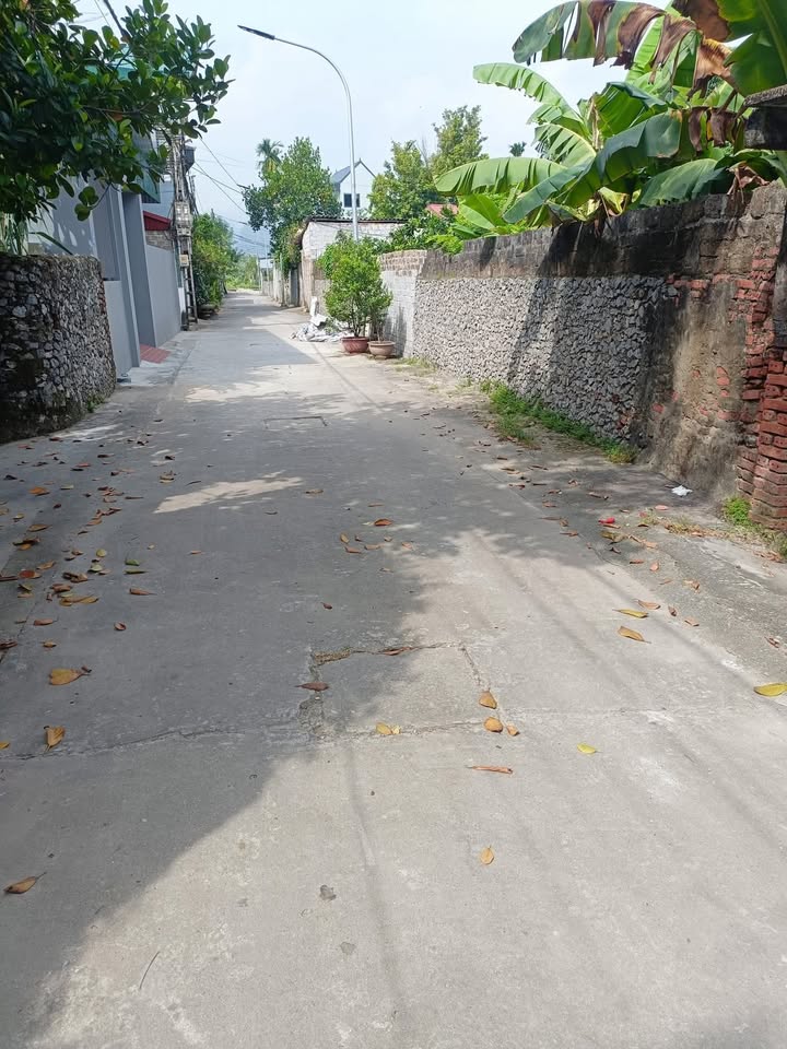 Đất thổ cư Hương Sơn, Mỹ Đức 180m² giá chỉ 1x triệu - Bán gấp, cơ hội đầu tư!