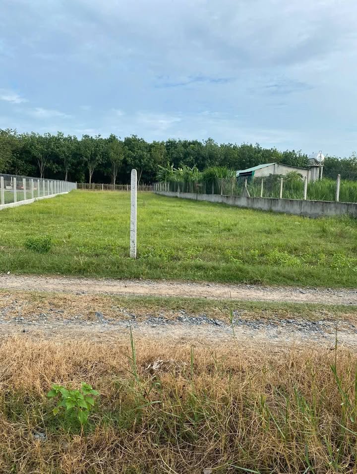 Đất nền Ninh Thạnh, Dương Minh Châu, Tây Ninh 1050m² giá 130 triệu - Sổ hồng sang tên ngay!