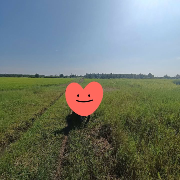 Đất thổ cư 7600m² tại Dương Minh Châu chỉ 1.2 tỷ - Cơ hội đầu tư tuyệt vời!