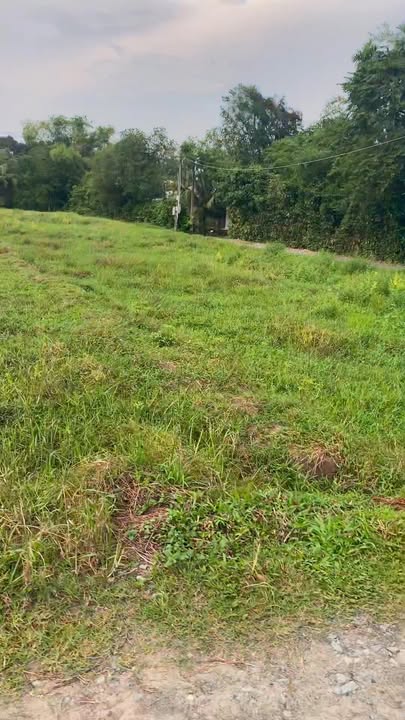 Đất nền giá rẻ Trảng Bàng 494m² chỉ 450 triệu - Đường ô tô vào tận nơi!