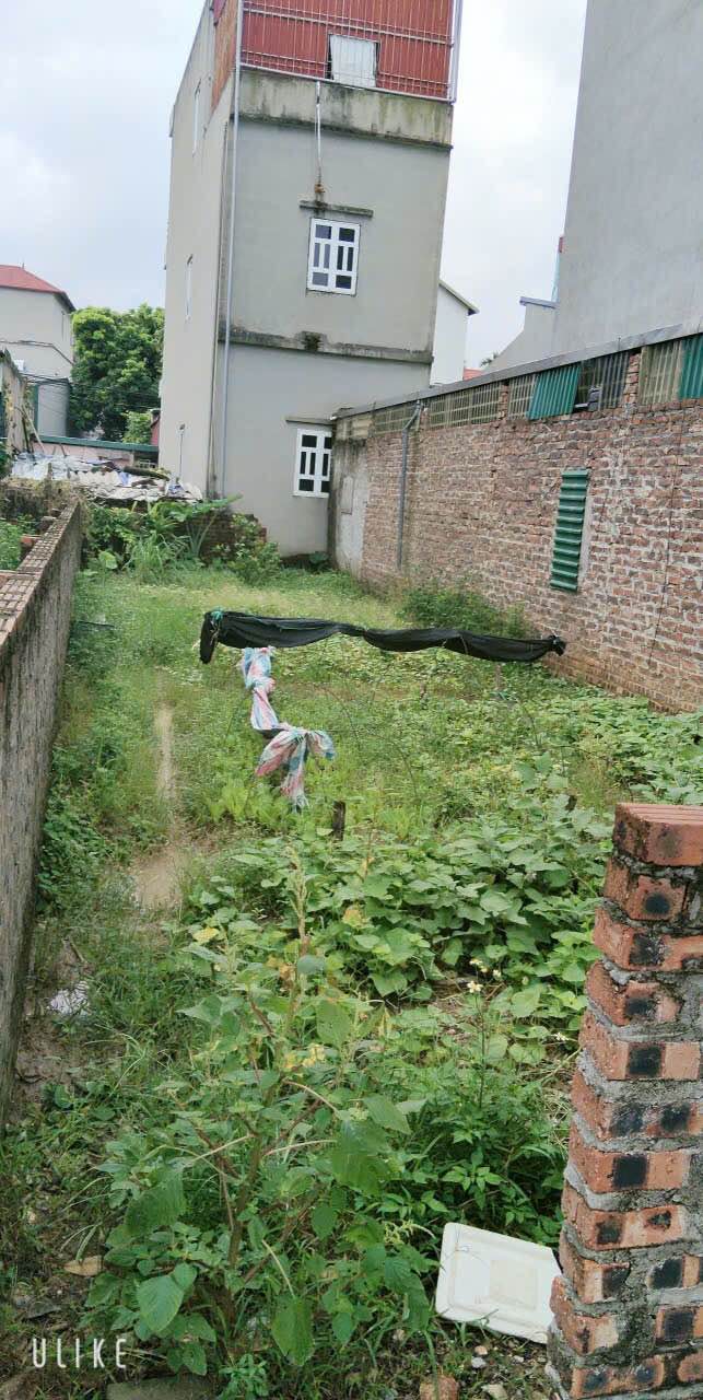 Đất thổ cư Thôn Nhuế Kim Chung 84.6m² giá 13.1 tỷ - Sổ đỏ chính chủ