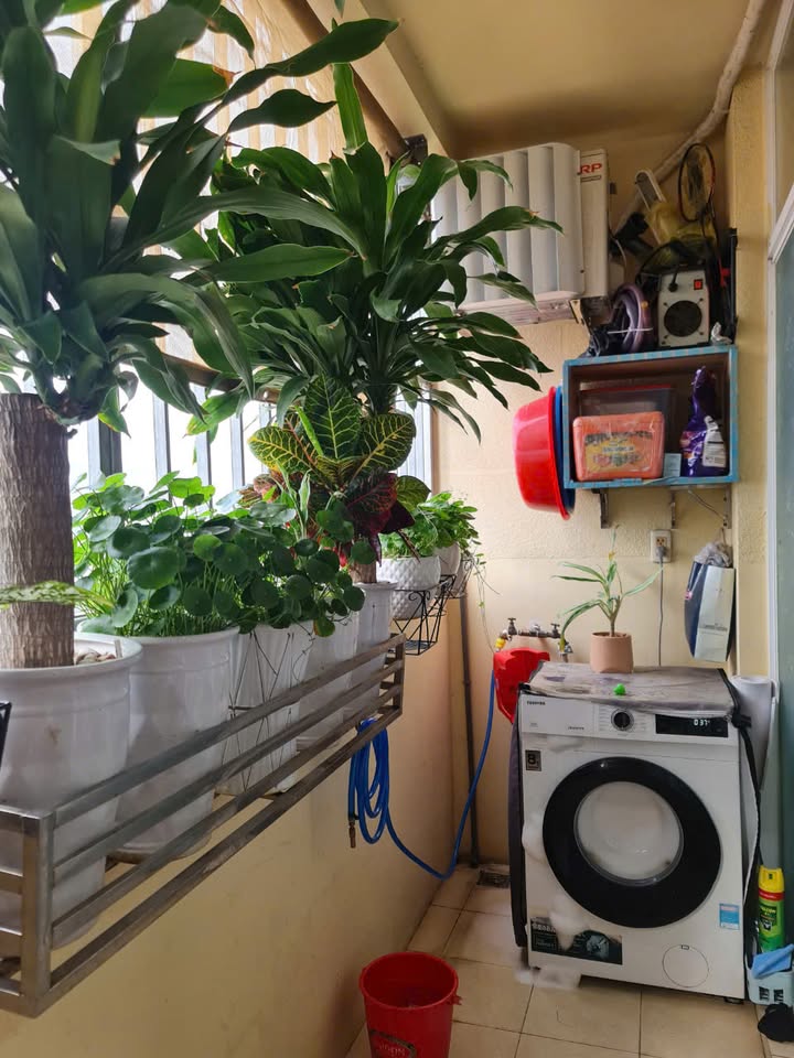 Căn hộ Hoàng Kim Thế Gia quận Bình Tân 81m² giá 3.6 tỷ - View đẹp, giá tốt nhất!