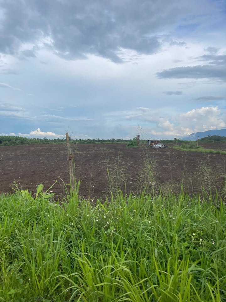 Đất nền Bảo Vinh Long Khánh 220m² giá 950 triệu - Cơ hội đầu tư tuyệt vời!