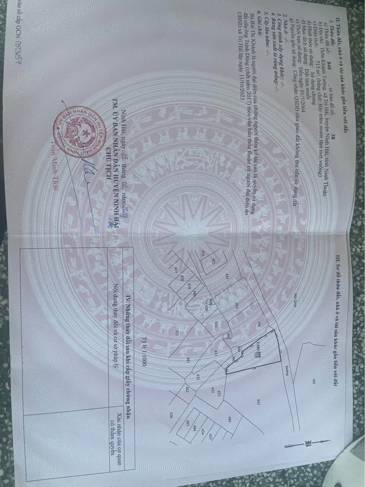 Bán thửa ruộng muối 1332m² tại Ninh Chữ - Giá 4.44 tỷ, hiện đang thu hoạch!