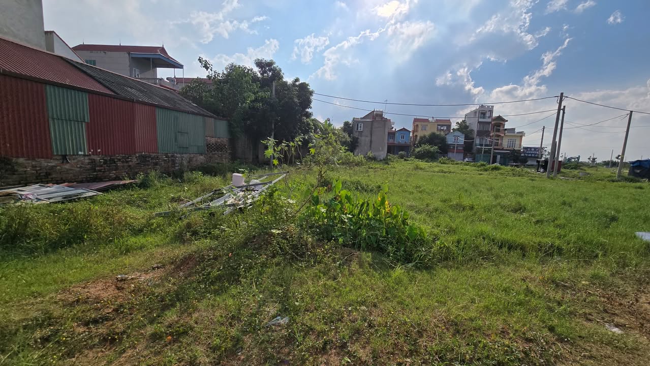 Đất mặt đường 100, xã Tam Đồng, huyện Mê Linh - Diện tích 83.2m², Kinh doanh đỉnh!