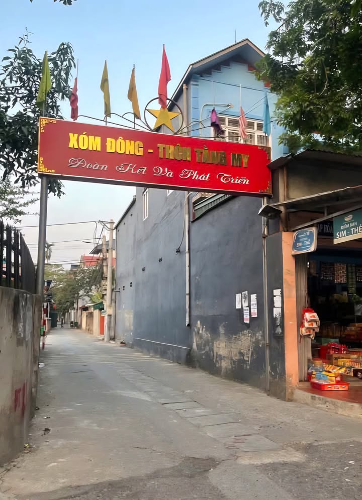 Đất thổ cư 60m² tại Nam Hồng, Đông Anh giá chỉ 4 tỷ - Ngõ thông ô tô vào tận nơi!