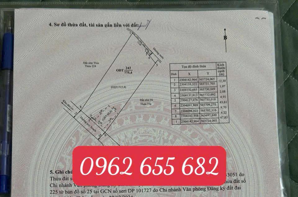 Đất nền Mộc Châu 775m² - Lô góc 2 cổng đường đôi rừng thông, cơ hội đầu tư tuyệt vời!