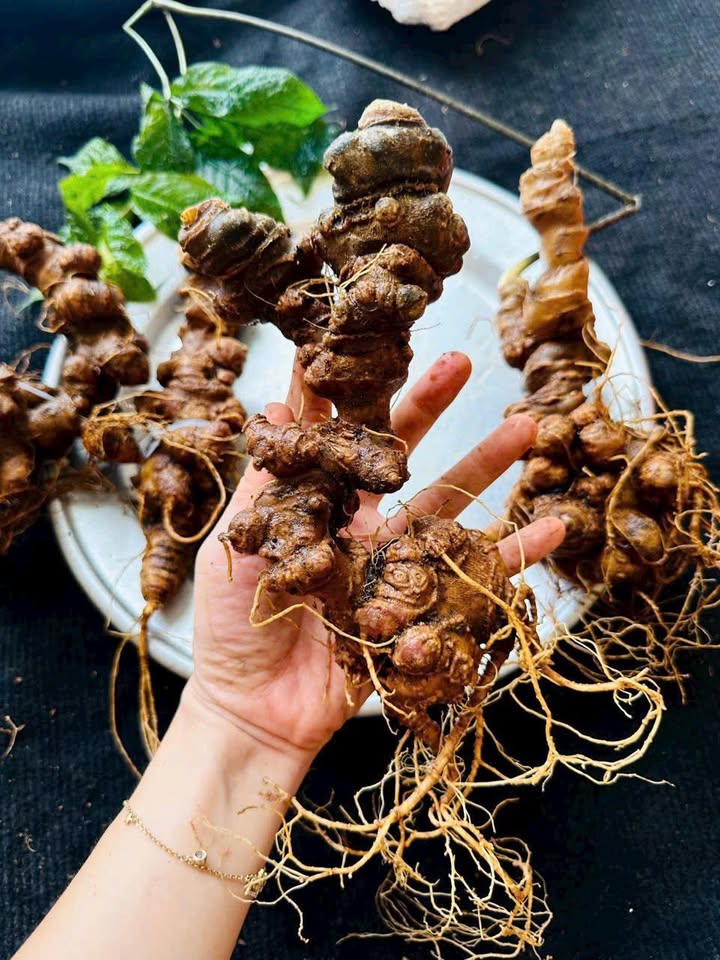 Nhà 3 tầng mặt đường Trung Lực Hải Phòng 140m² giá 11 tỷ - Sổ đỏ chính chủ!